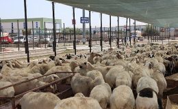 Selçuklu Belediyesi vatandaşların Kurban Bayramı’nı rahat ve huzurlu bir şekilde geçirmesi için tüm hazırlıkları tamamladı